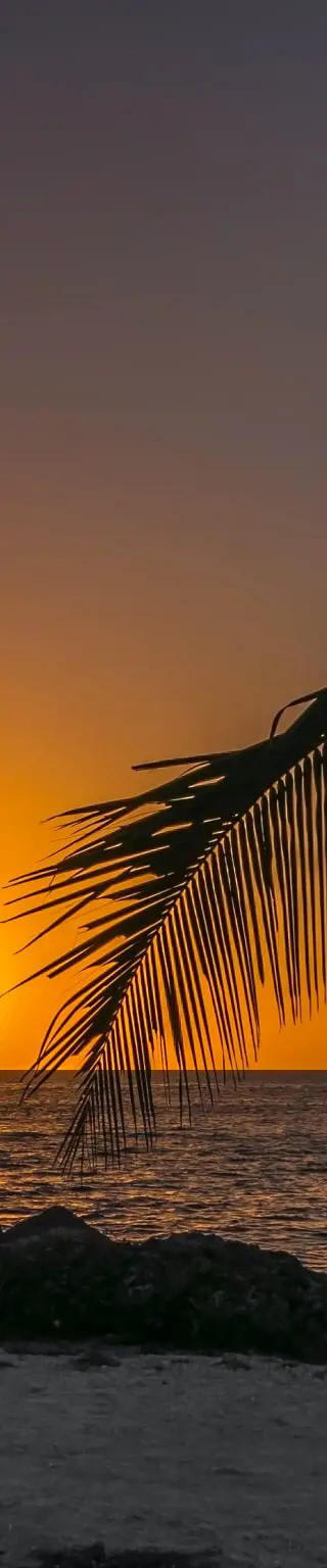 Begib dich auf die Reise ins malerische Key West